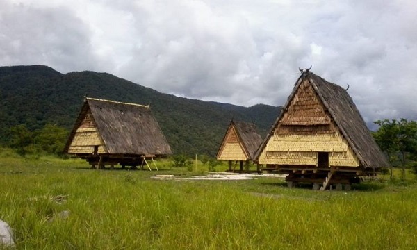 Gambar Rumah Adat Sulawesi Tengah