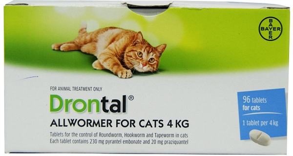 Drontal Cat
